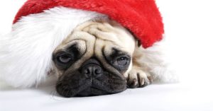 Holiday blue: Trầm cảm ngày lễ là một hiện tượng có thật và khoa học nói gì?
