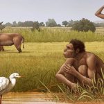 Xác định một loài người hoàn toàn mới đã sinh ra chúng ta