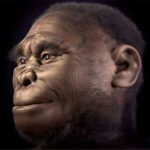 Loài Hominids sống khoảng 18.000 năm trước có thể vẫn còn tồn tại