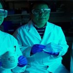 Khẩu trang phủ muối có thể vô hiệu hóa virus corona