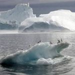 Khi băng ở Greenland tan…