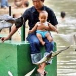 Một thiếu niên Indonesia nhiễm cúm gia cầm