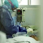 Cúm gia cầm có thể gây bệnh qua đường ruột