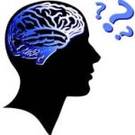 IQ cao không chỉ do di truyền