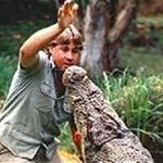 Công chiếu bộ phim cuối cùng của “người săn cá sấu”