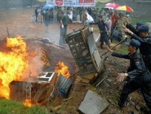 Ruồi: trung gian lây truyền H5N1?