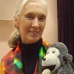Hiệp sĩ môi trường Jane Goodall tới Việt Nam
