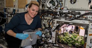 NASA trồng thành công cải củ trong không gian