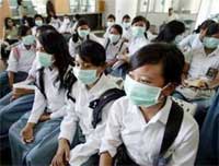 Cúm gia cầm làm hại du lịch hơn cả khủng bố