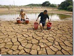 Bộ NN & PTNT hành động ứng phó biến đổi khí hậu