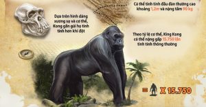 “Kong: Skull Island”: Kong to lớn tới mức nào ở ngoài đời thật?