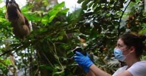 ADN trong không khí – bằng chứng sống thú vị