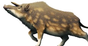 Kubanochoerus gigas: Loài lợn cổ xưa có sừng giống như kỳ lân trong thần thoại