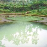 Tìm hiểu “hồ ma” ở Trung Quốc