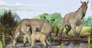Loài thú từng làm cha đẻ thuyết tiến hóa bối rối