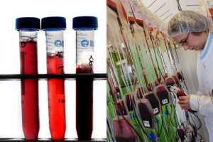 Máu nhân tạo – niềm hi vọng của loài người