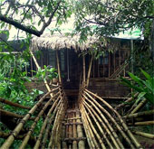Ngôi làng sạch nhất thế giới – Nơi phụ nữ làm chủ