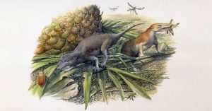 Hóa thạch mới phát hiện tiết lộ cuộc sống của động vật có vú sơ khai
