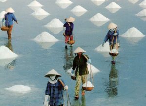 Ứng dụng sản xuất muối sạch ở đồng muối phơi cát