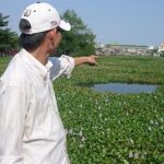 Muỗi… bay đen trời!