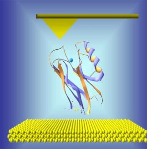 Phát hiện các kháng nguyên ung thư bằng các hốc nano