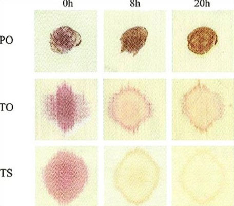 Quần áo cho người lười giặt
