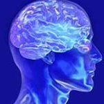 Tìm ra “điểm nhân ái” trong não