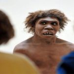 Các nhà khoa học công bố phát hiện mới về người Neanderthal
