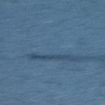 Một nhân chứng quay được quái vật hồ Loch Ness