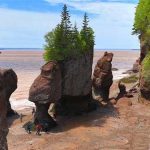 New Brunswick – Nơi khách du lịch có thể gặp “quái vật khổng lồ thời tiền sử”