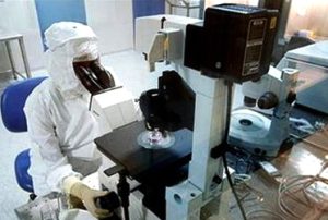 Tái tạo tế bào gốc từ da chuột