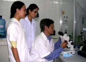Nghiên cứu tế bào gốc: Còn xa để “thay quyền tạo hóa”!