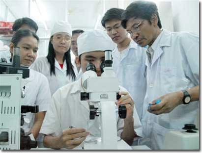 Chọn tạo thành công hàng chục giống cây trồng mới