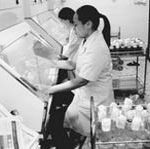 Lạng Sơn áp dụng nhiều tiến bộ khoa học – kỹ thuật vào sản xuất