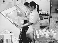 Lạng Sơn áp dụng nhiều tiến bộ khoa học – kỹ thuật vào sản xuất