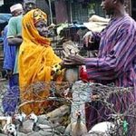 Người đầu tiên ở Nigeria chết vì cúm gà