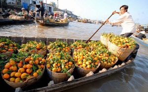 3 phương án ứng phó với biến đổi khí hậu