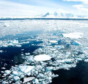 Đại dương đang mất dần khả năng hấp thu CO2