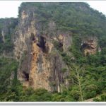 Gấu trúc và khỉ cổ đại từng cạnh tranh nguồn thức ăn