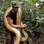Tự nguyện cho trăn khổng lồ Anaconda nuốt sống