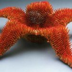 Tác phẩm nghệ thuật từ bút chì