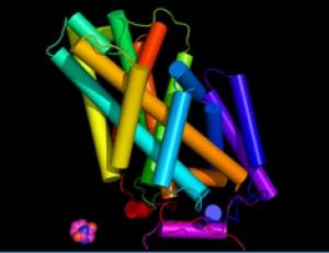 Protein có thể được dùng để lưu trữ dữ liệu số