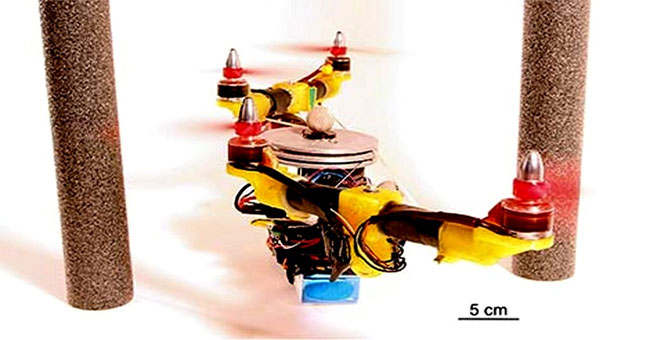 Drone tự “biến hình” để tránh chướng ngại vật