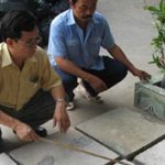 Biến rác “cứng đầu” bệnh viện thành tấm đan