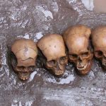 Mexico: Phát hiện xương sọ, xương hàm 500 năm tuổi