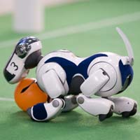 Thế vận hội… robot
