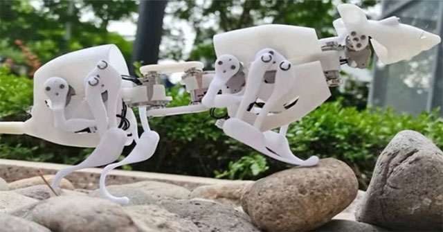 Thiết kế mẫu chuột robot tìm người sống sót ở vùng thiên tai