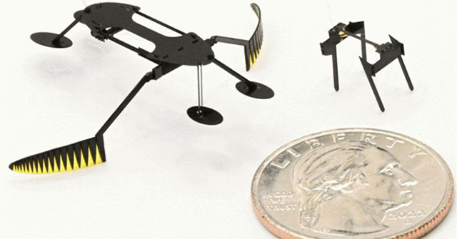 Nhóm nghiên cứu phát triển robot côn trùng nhỏ và nhanh kỷ lục