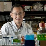 Nobel Y học 2012 “mở đường” chữa bệnh nan y