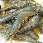 Vỏ tôm giúp giảm lượng Cholesterol